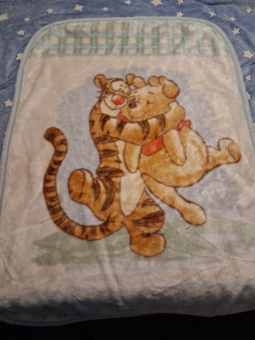 Vintage Crown Crafts Disney Winnie the Pooh Tigger Plush Baby Blanket Plaid